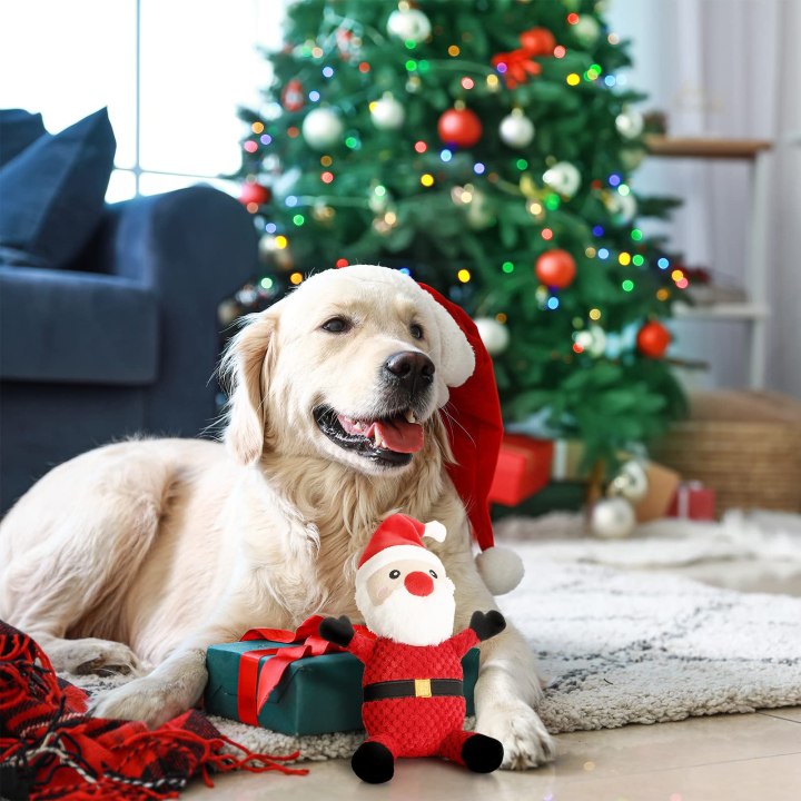 Best Christmas Pet Toys for Dogs: Top Picks for Festive Fun.
