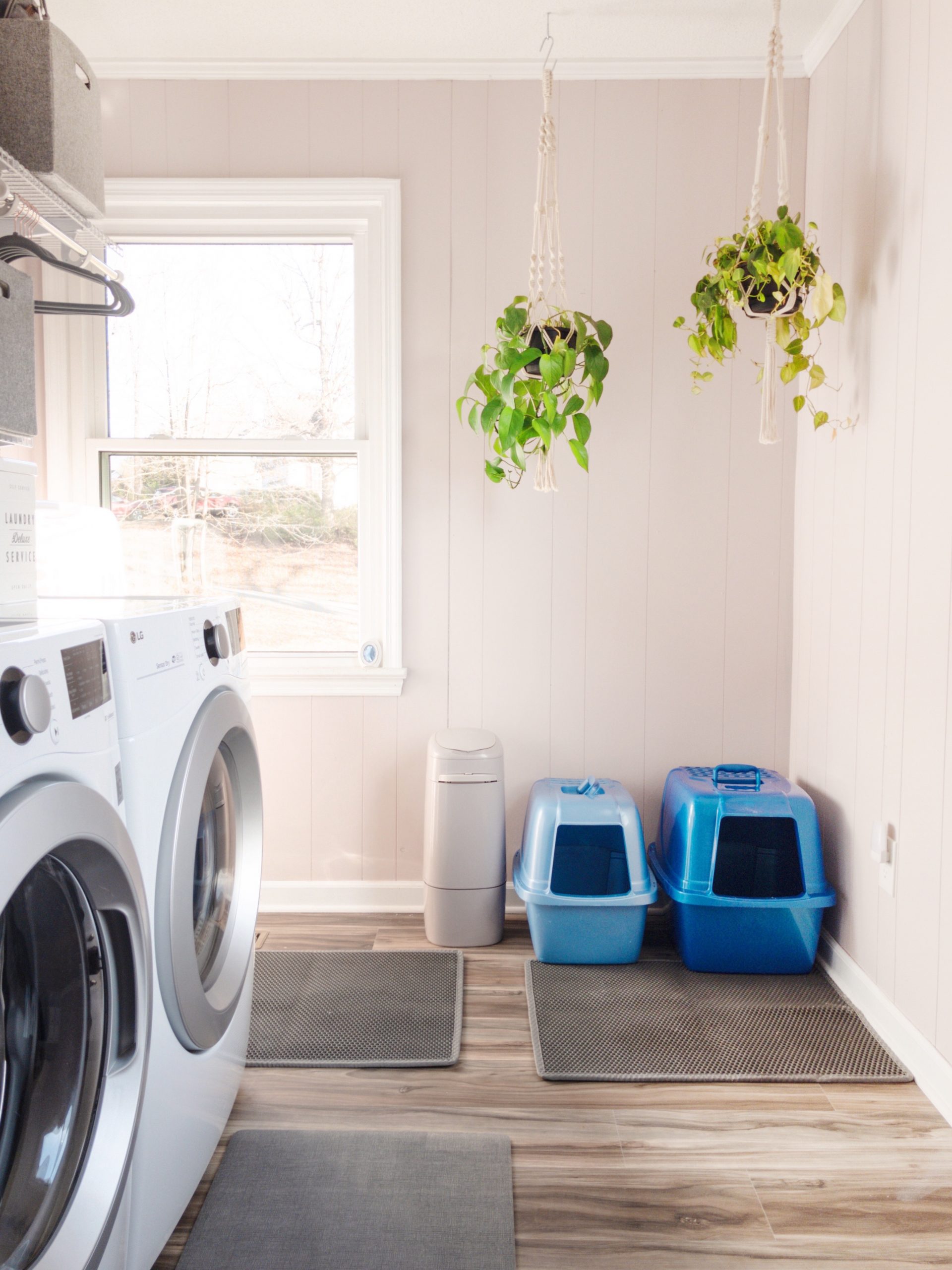 Laundry Room Cat Litter Box Setup: What You Need to Know