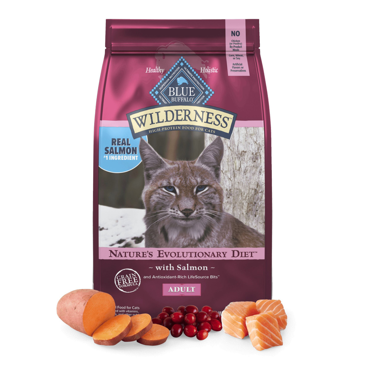 Unsure About Salmon Cat Food? Heres the Best You Can Get