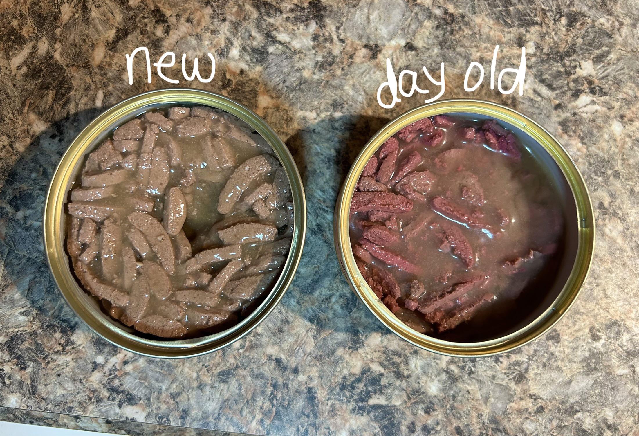 Raw Canned Cat Food: Spoil Your Cat with Delicious Nutrition