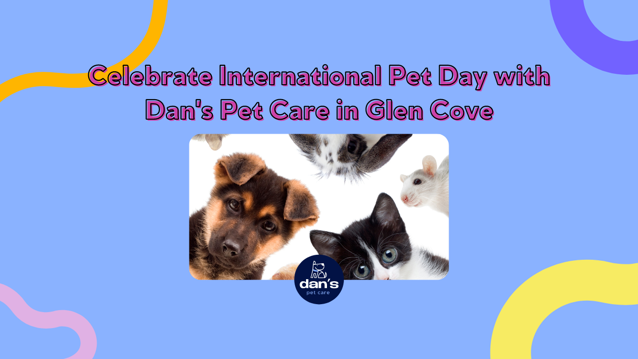 Dans Pet Care Glen Cove: Awesome Pet Services You Can Trust (We Love Your Pets!)