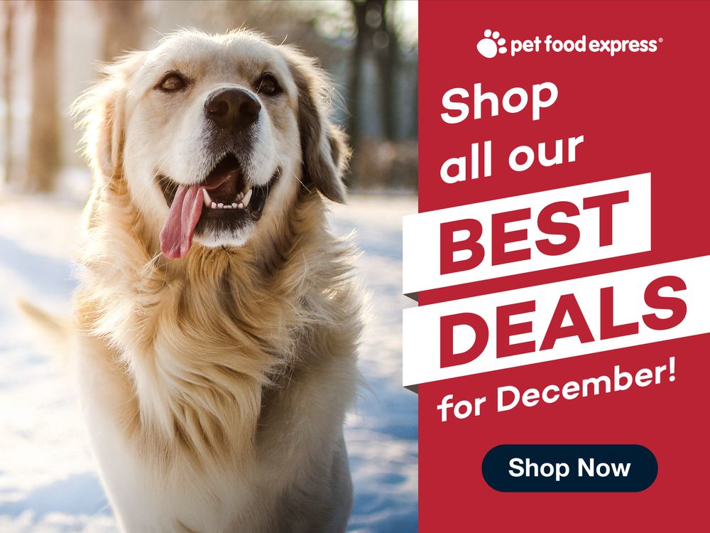 Find Everything Your Pet Needs at Alameda Pet Supplies