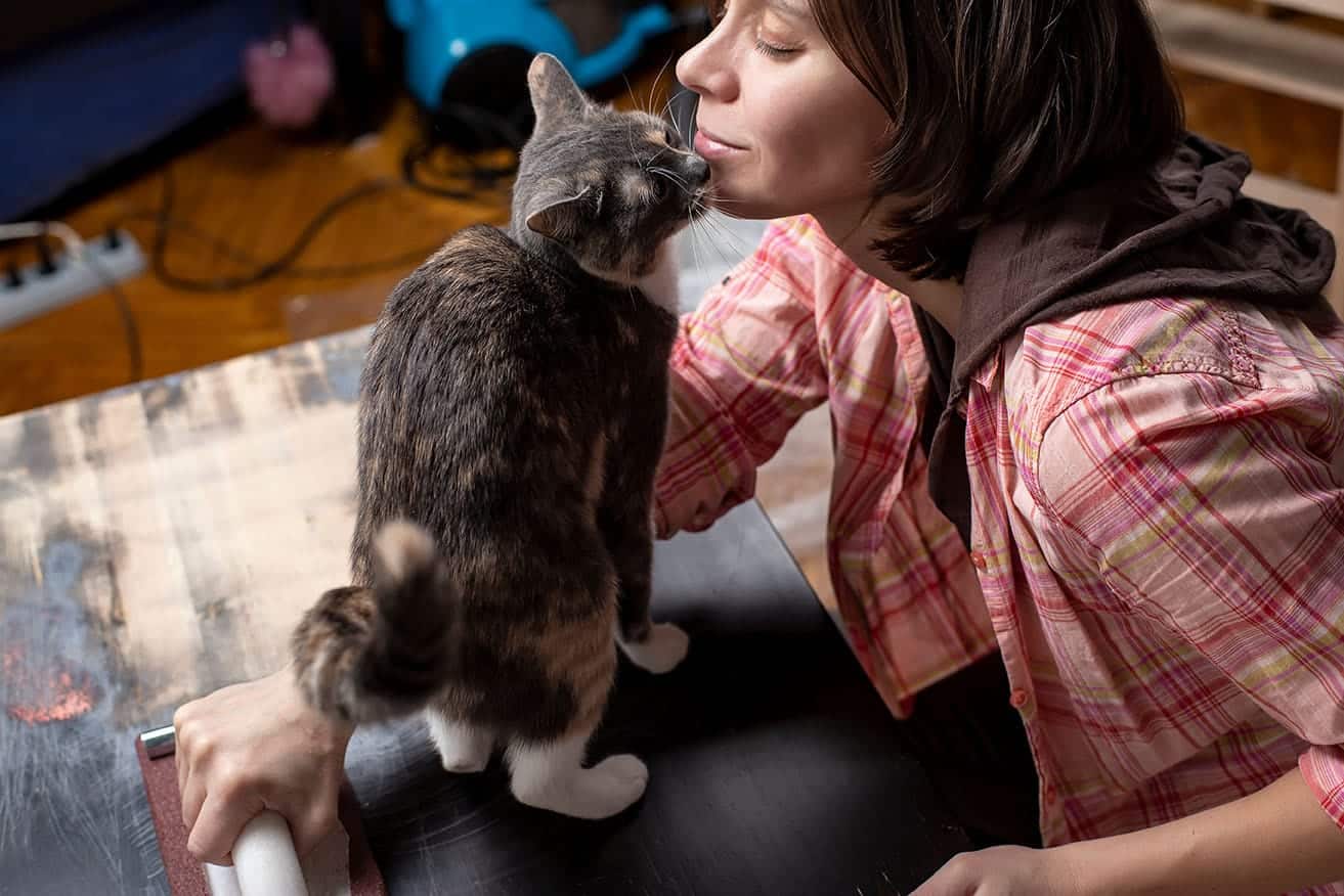 How Do Cats React to the Smell of Cancer? A Detailed Guide