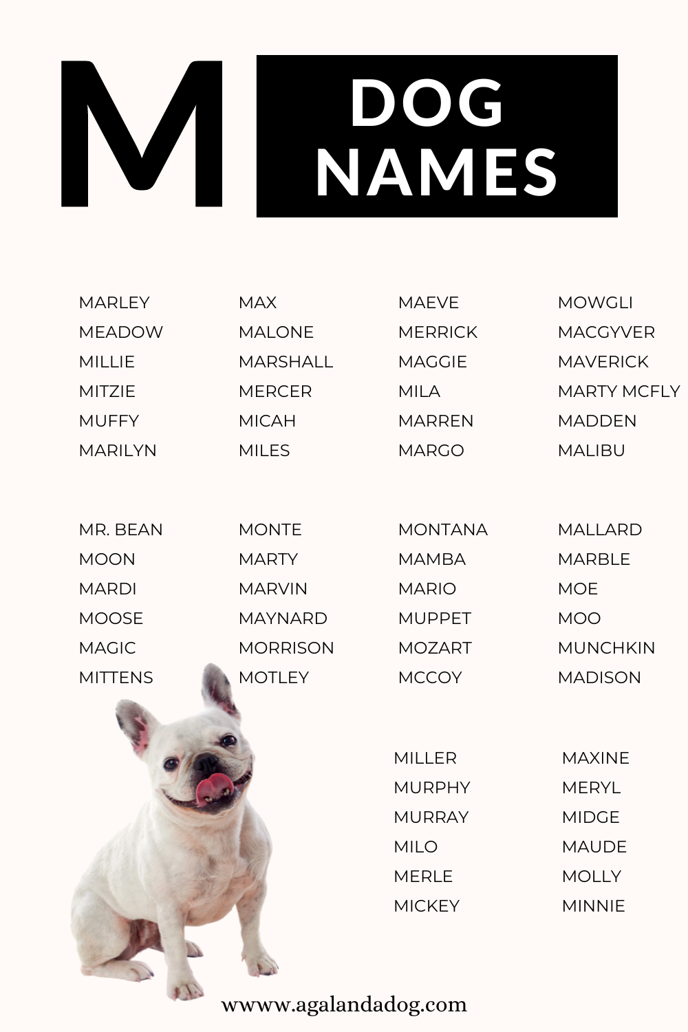 Top M Names for Dogs: The Ultimate List of Monikers