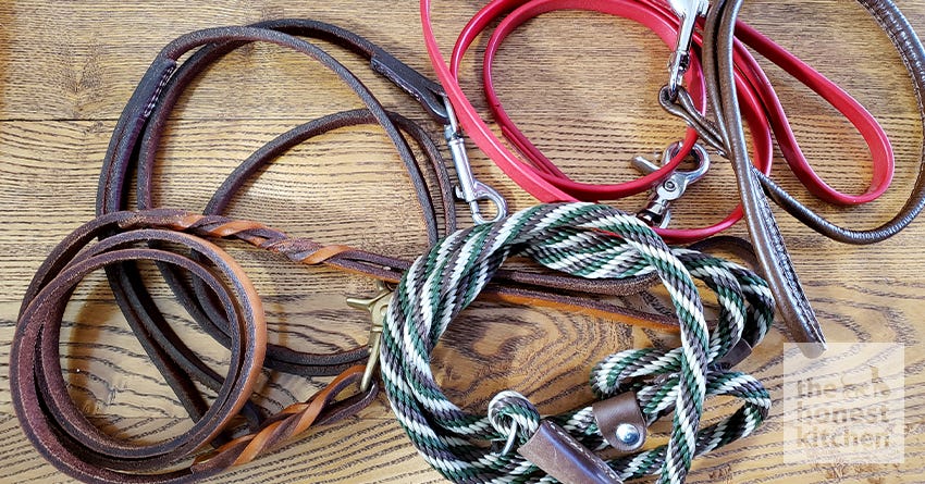 Climbing Rope Dog Collar vs. Nylon: Which is Better for Your Dog?