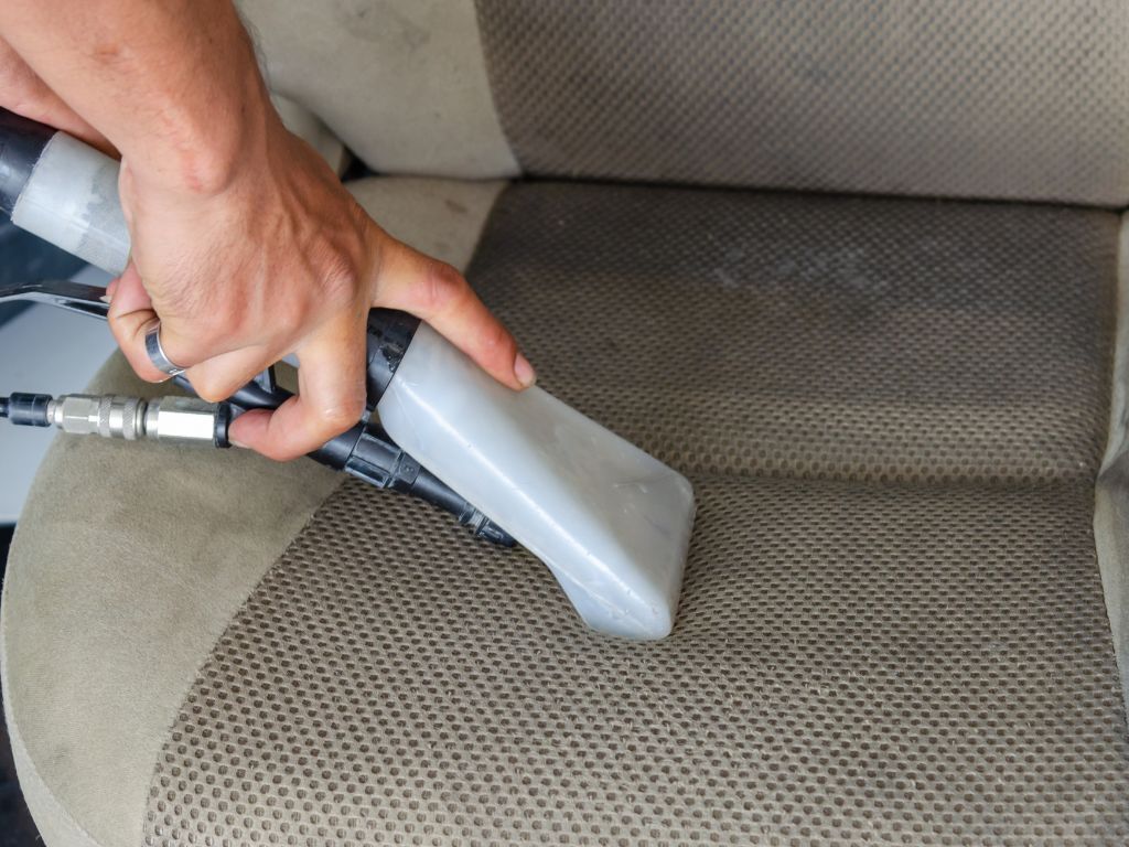 Best Ways to Remove Pet Hair from Car Seats and Carpets