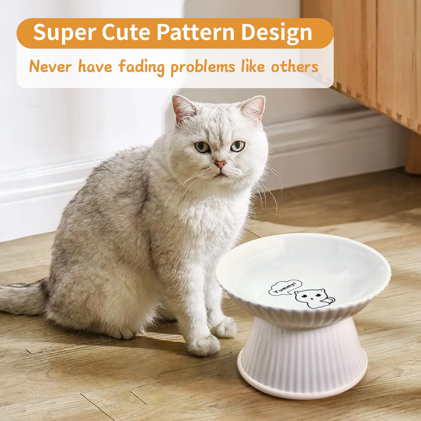 Where to Buy the Best Ceramic Cat Food Bowls Online