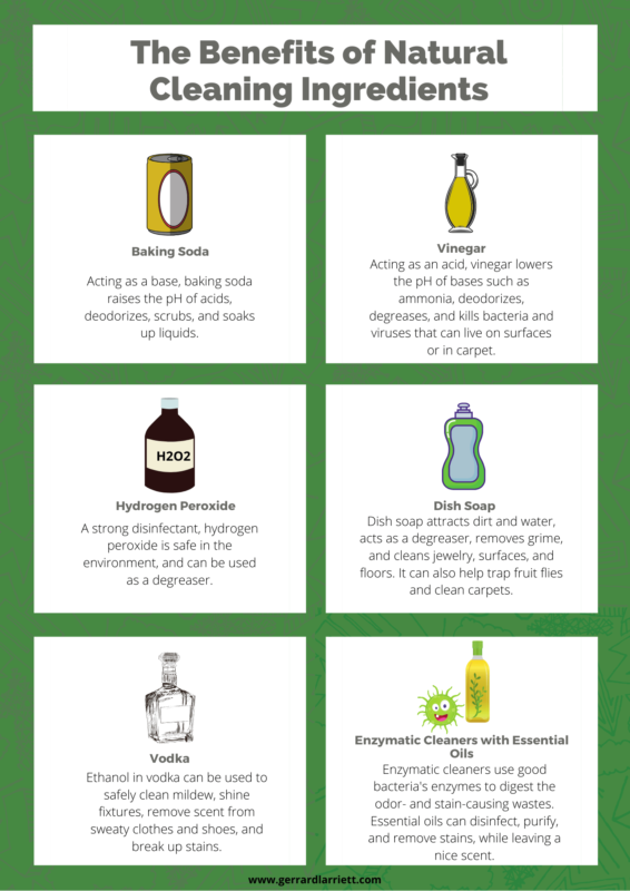 Top Homemade Dog Urine Carpet Cleaner Recipes