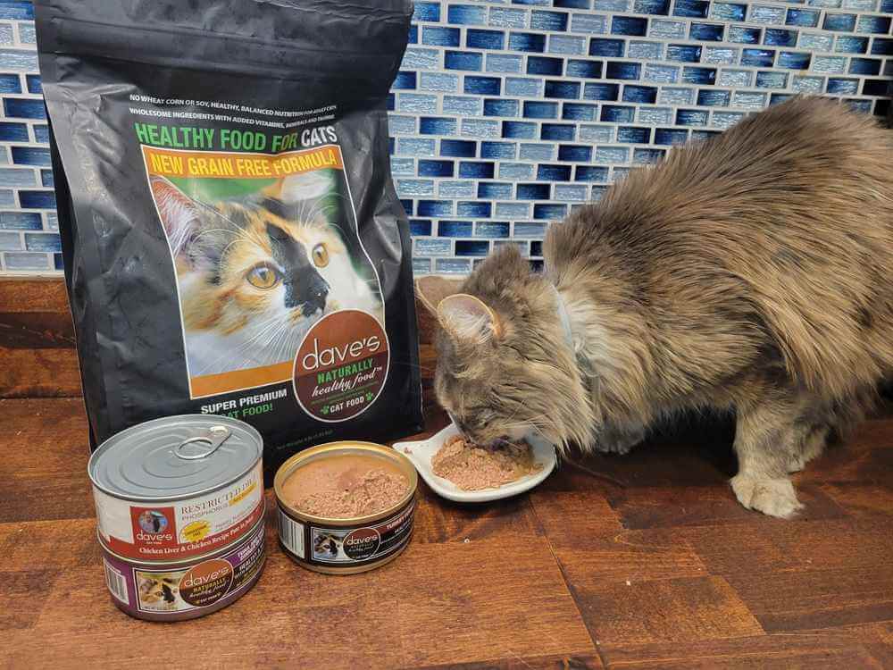 Daves Pet Food: Is It Good for Picky Eaters Dogs and Cats