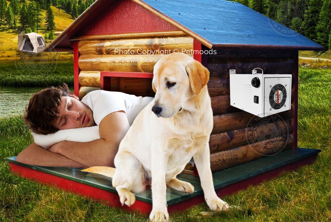 Best Dog Kennel Air Conditioning Systems for Hot Weather