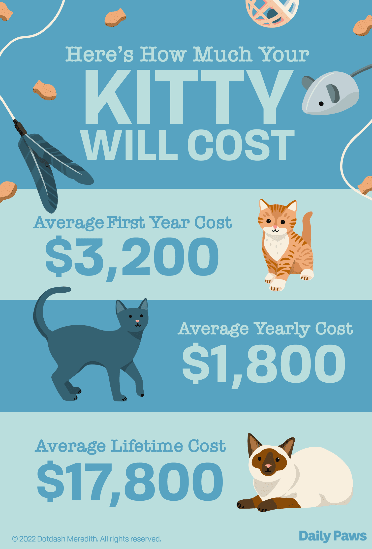 Curious About Paws Pet Care Average Cost Per Month? Lets Find Out