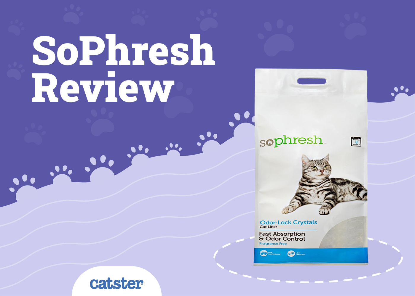 Is Sophresh cat litter worth the hype? We put it to the test!