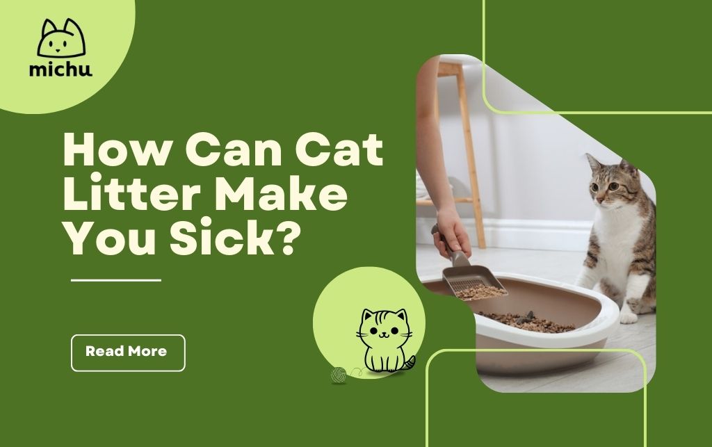 Human Allergic to Cat Litter? Common Symptoms to Watch For