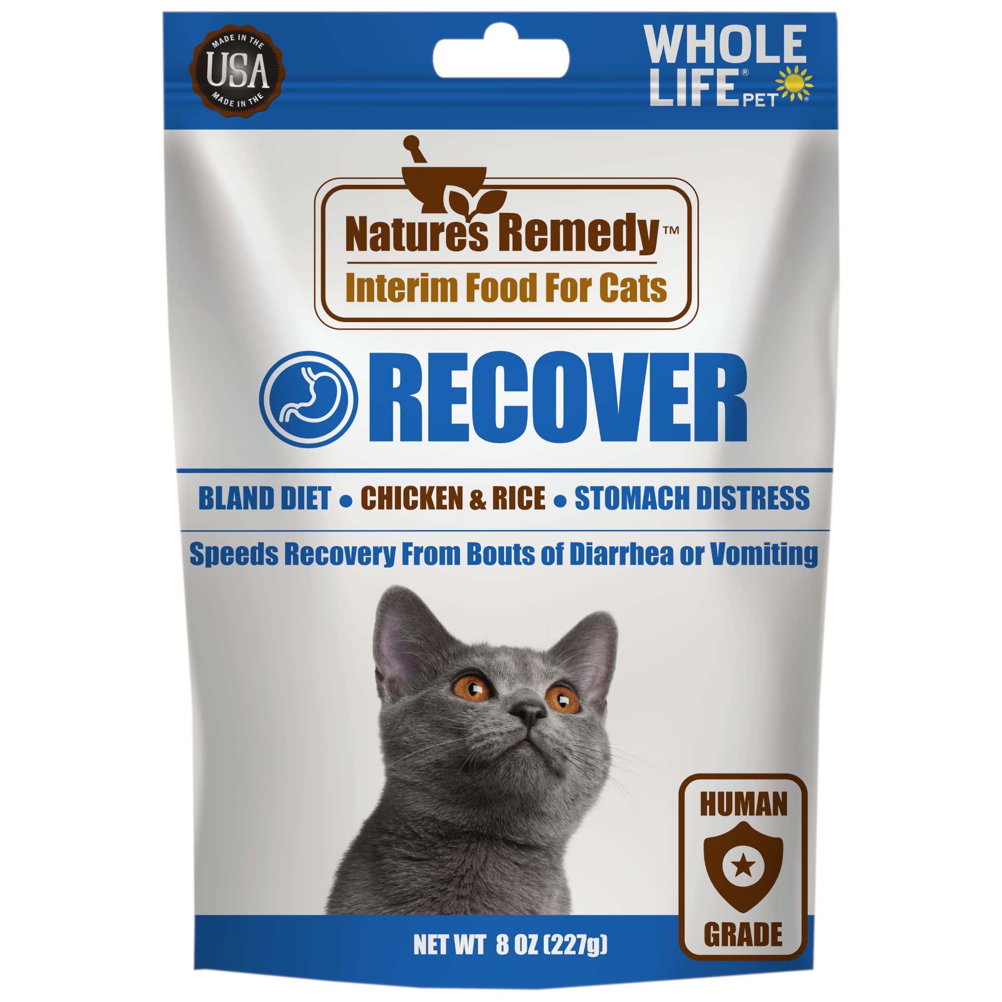 Say Goodbye to Bland Cat Food: Tasty Options Your Cat Will Love