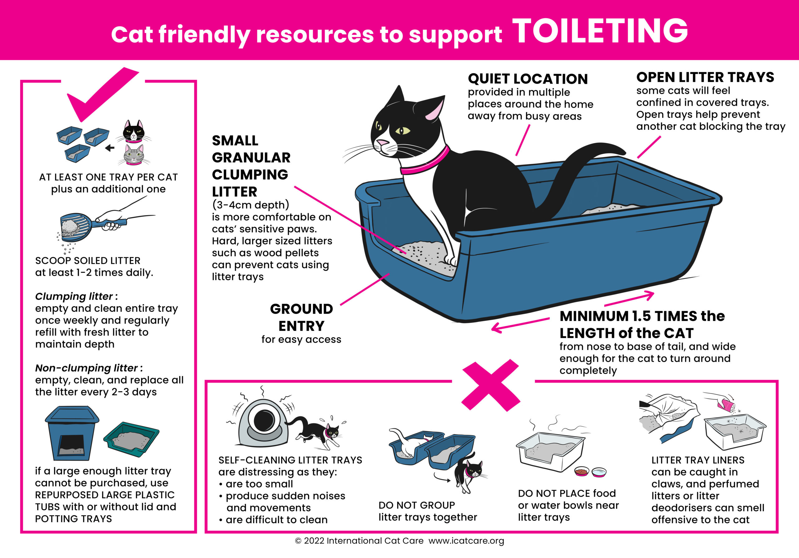 How Much Cat Litter to Use? A Simple Guide for Cat Owners
