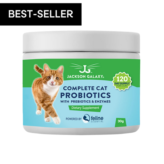 Keep Your Cat Healthy: The Best Probiotic for Cats Guide