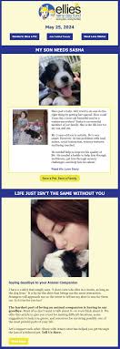 Join Paws Newsletter for Adorable Pet Stories and More