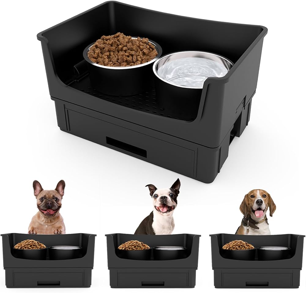 Pet Feeding Dishes: Bowls, Elevated Feeders, and More