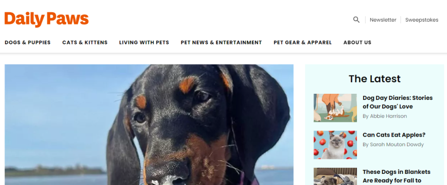 Top Pet Newsletter Picks (Reviews and Recommendations for You)