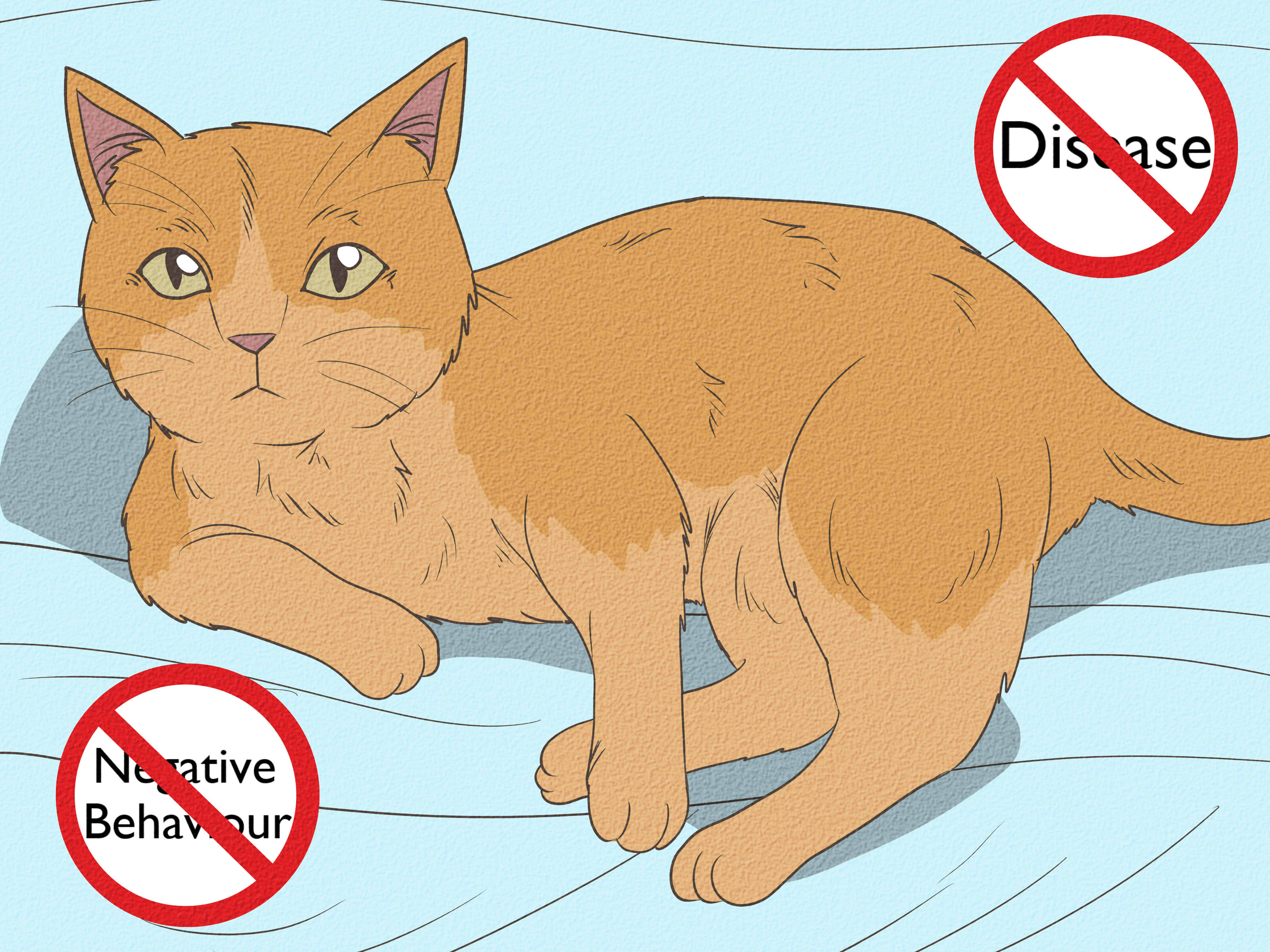 Cat Litter After Neutering: How to Keep Your Cat Happy and Healthy