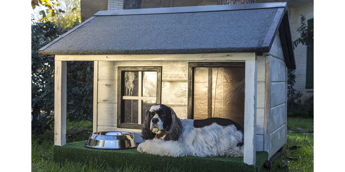 Outdoor Dog Kennel Heater Safety Tips: Keep Your Dog Cozy & Secure