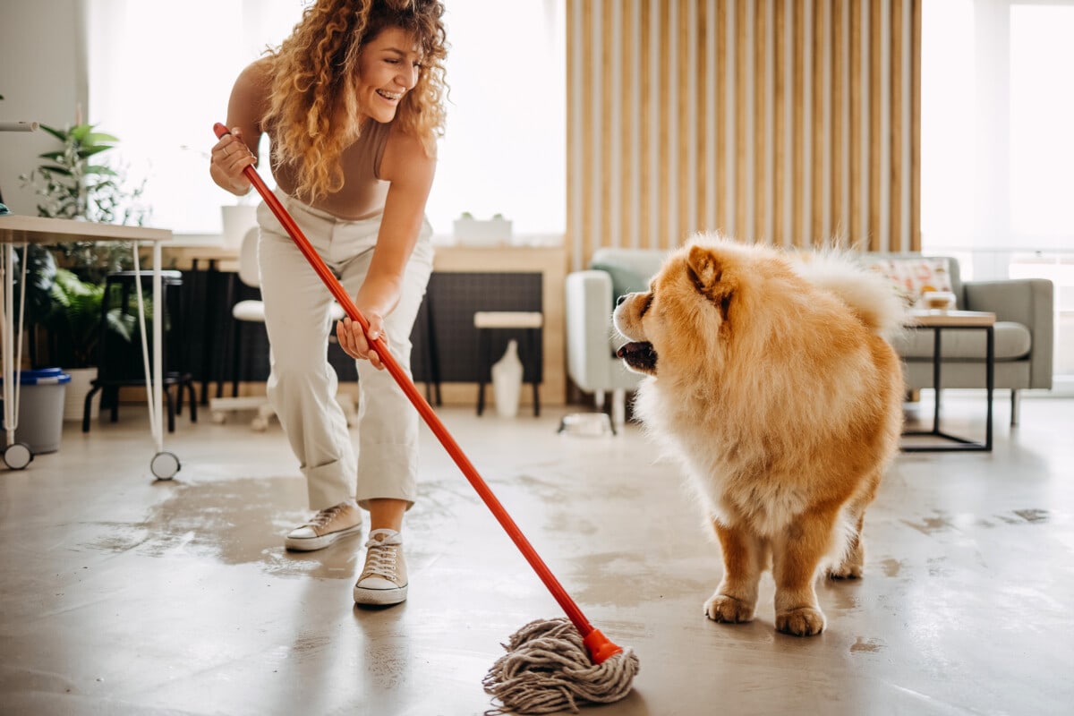 Professional House Cleaning After Pets: Keep Your Home Fresh!