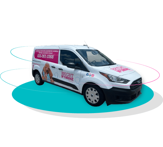 mobile pet teeth cleaning