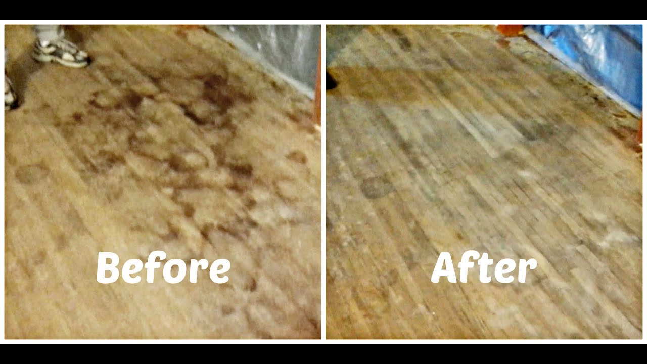 Best Ways for Cleaning Pet Stains on Wood Floors Effectively
