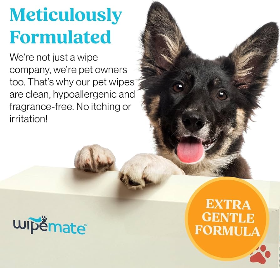 Pet Safe Cleaning Wipes: Quick and Easy Cleaning for Pet Owners