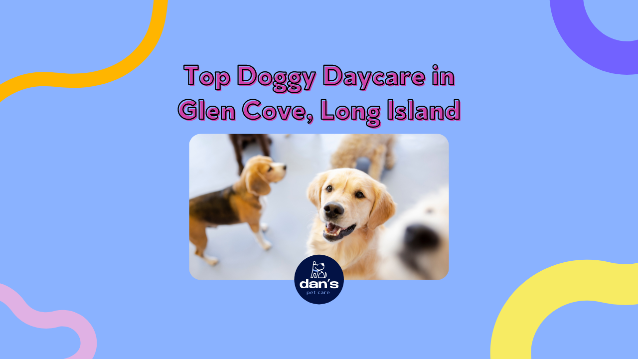 Dans Pet Care - Glen Cove: The Top Choice for Pet Services