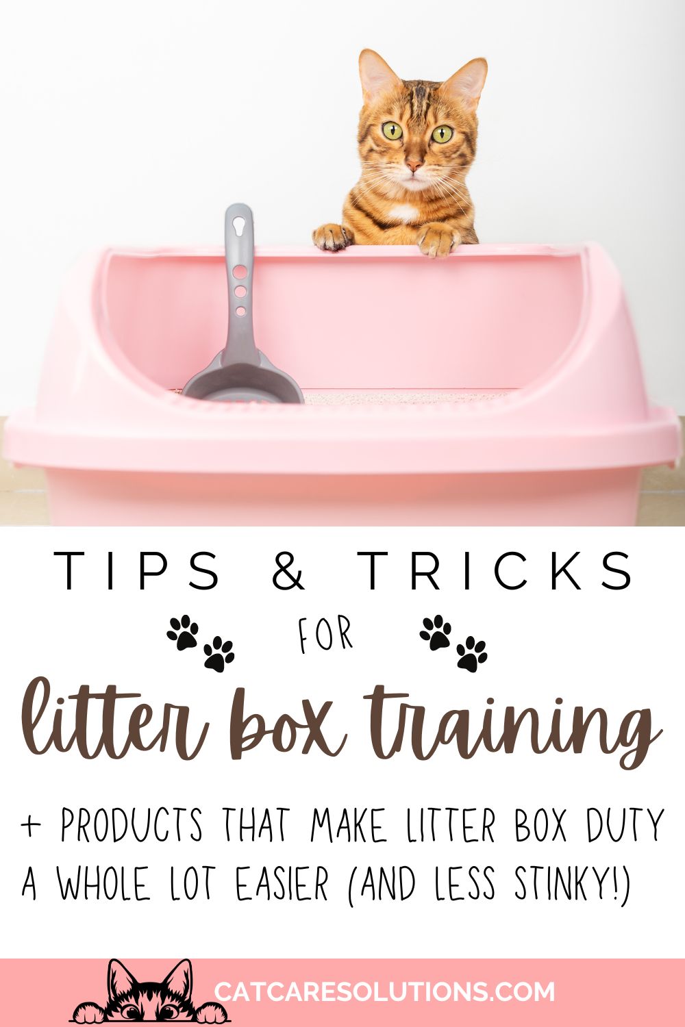 Where Should I Put My Cats Litter Box? Location Tips & Tricks