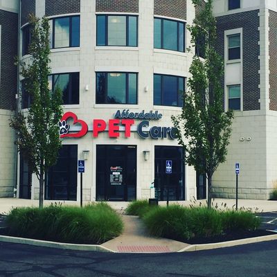 Looking for Affordable Pet Care in Barberton? Check This Out!