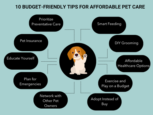 Tips and Tricks: Creating a Budget-Friendly Pet Care Routine