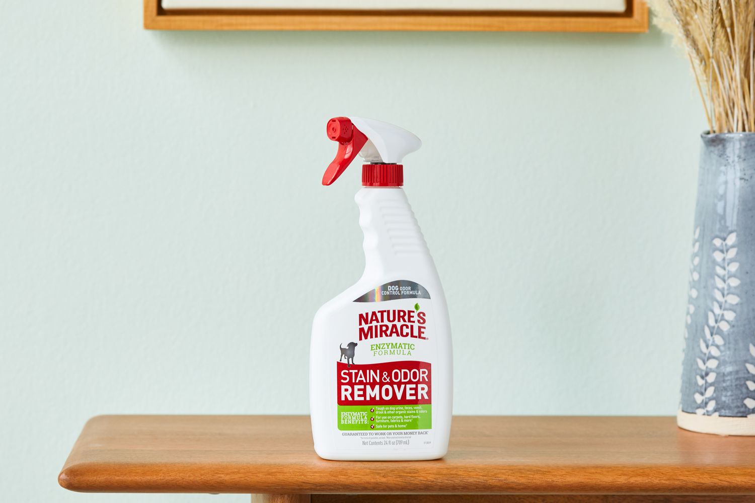 Miracle Pet Cleaner vs Competitors: Which One is Better?