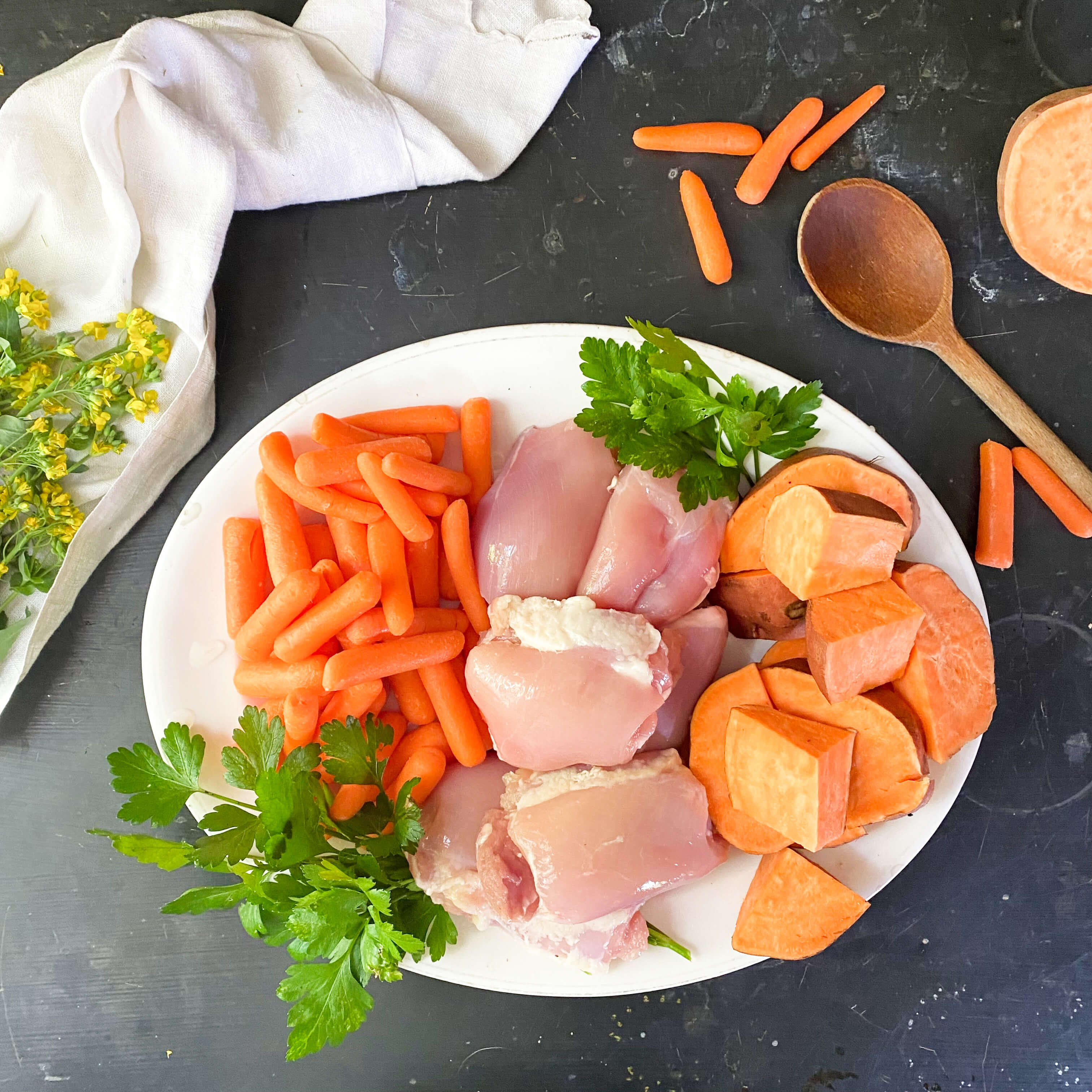 Make Your Own Bland Dog Food Recipe: A Step-by-Step Guide