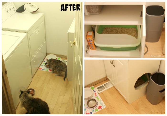 Laundry Room Cat Litter Box Setup: What You Need to Know