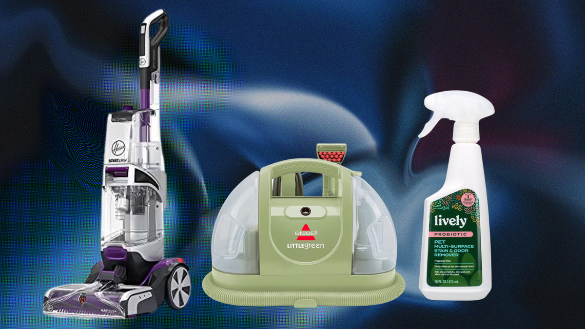 Best Carpet Cleaner Safe for Pets: Top Picks for a Clean and Healthy Home