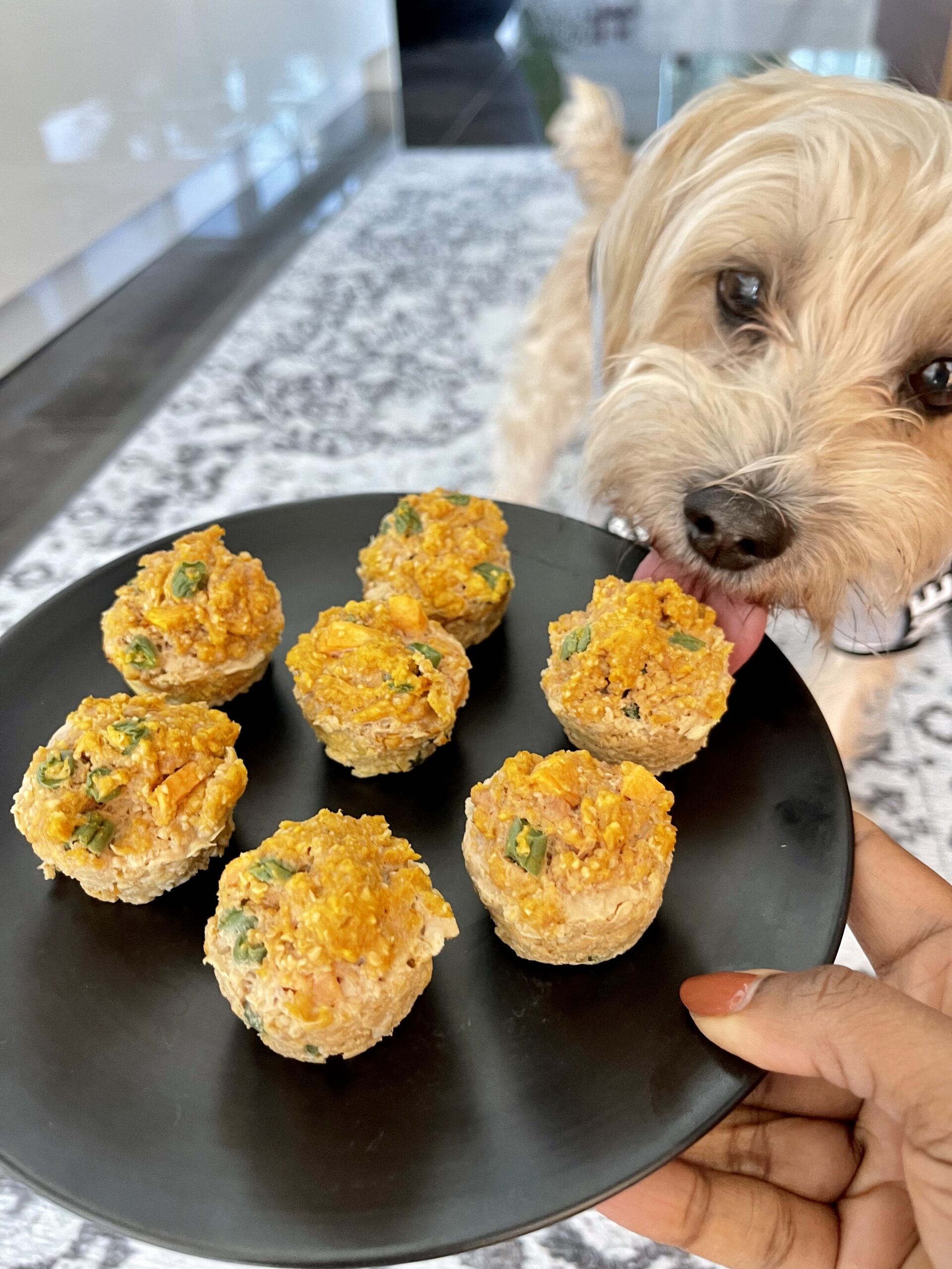 Thanksgiving Feast for Dogs: Homemade Dog Food Recipes