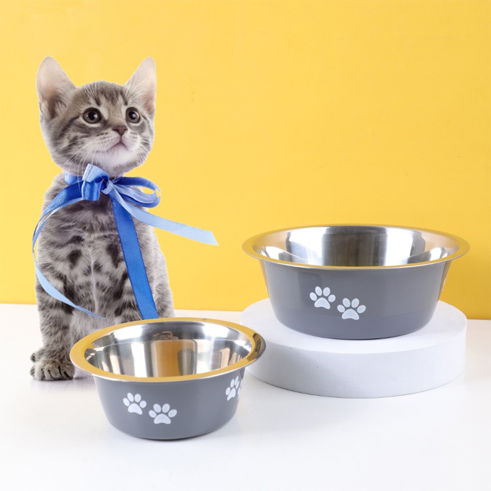 Ceramic Cat Food Bowls vs Plastic: Which is Better for Your Cat?