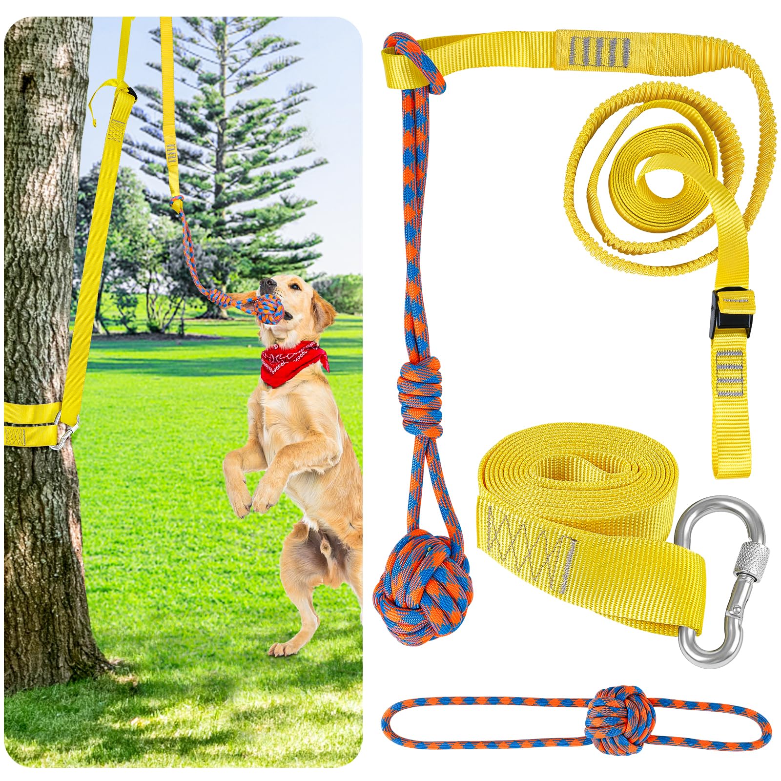 Tug Rope for Dogs: Fun and Interactive Toys for Training
