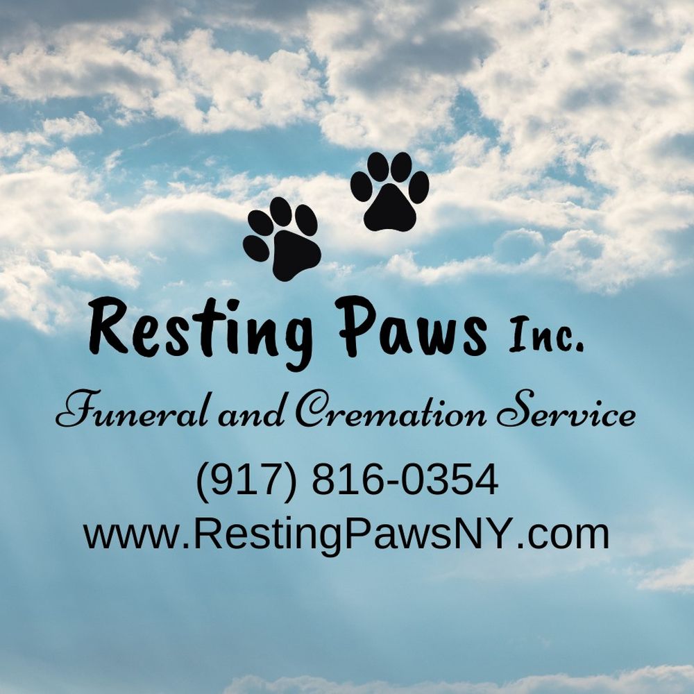 Compassionate Care: Deceased Pet Funeral Homes Near You