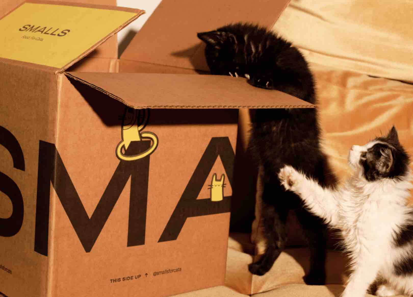 Is Smalls Cat Food AAFCO Approved? A Simple Guide for Concerned Cat Owners!