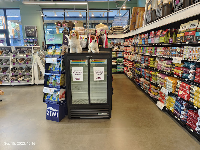 Discover All the Best Pet Care Central District: Expert Tips and Local Services