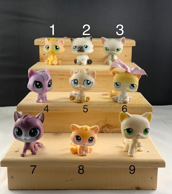 Looking for a Toy Cat Pet? Shop Our Wide Selection Now