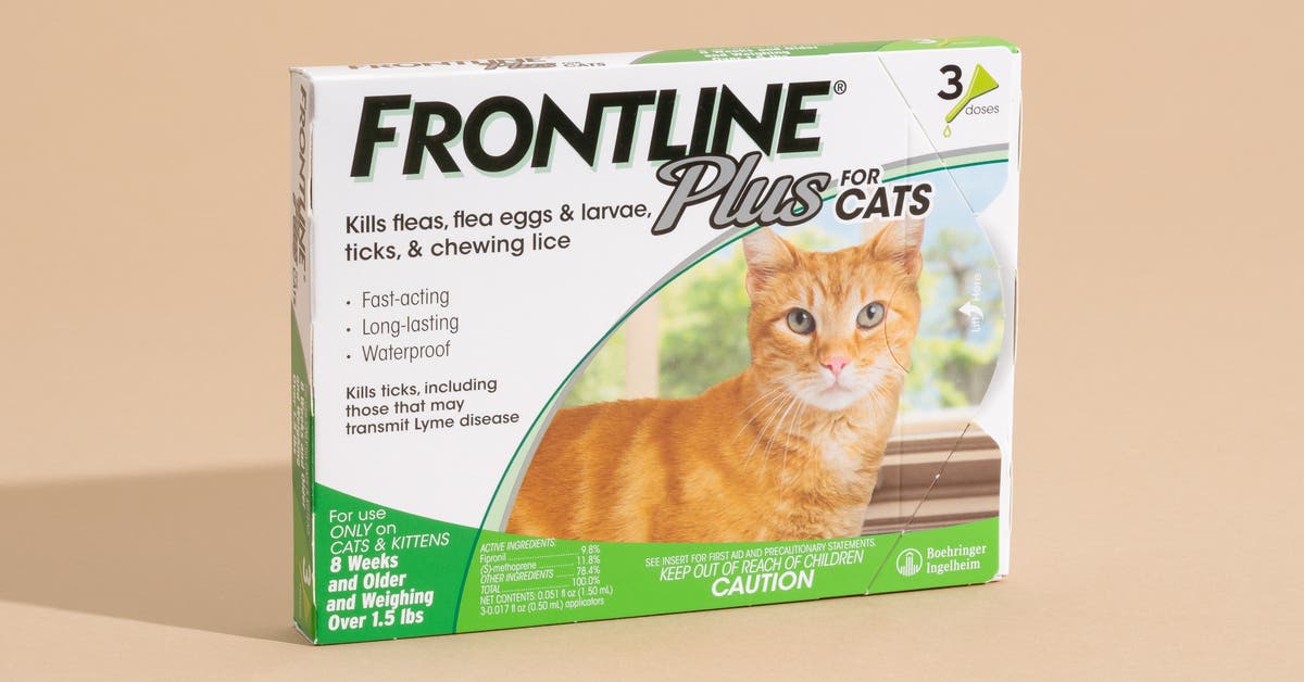 Simparica for Cats: How Fast Does it Kill Fleas and Ticks?