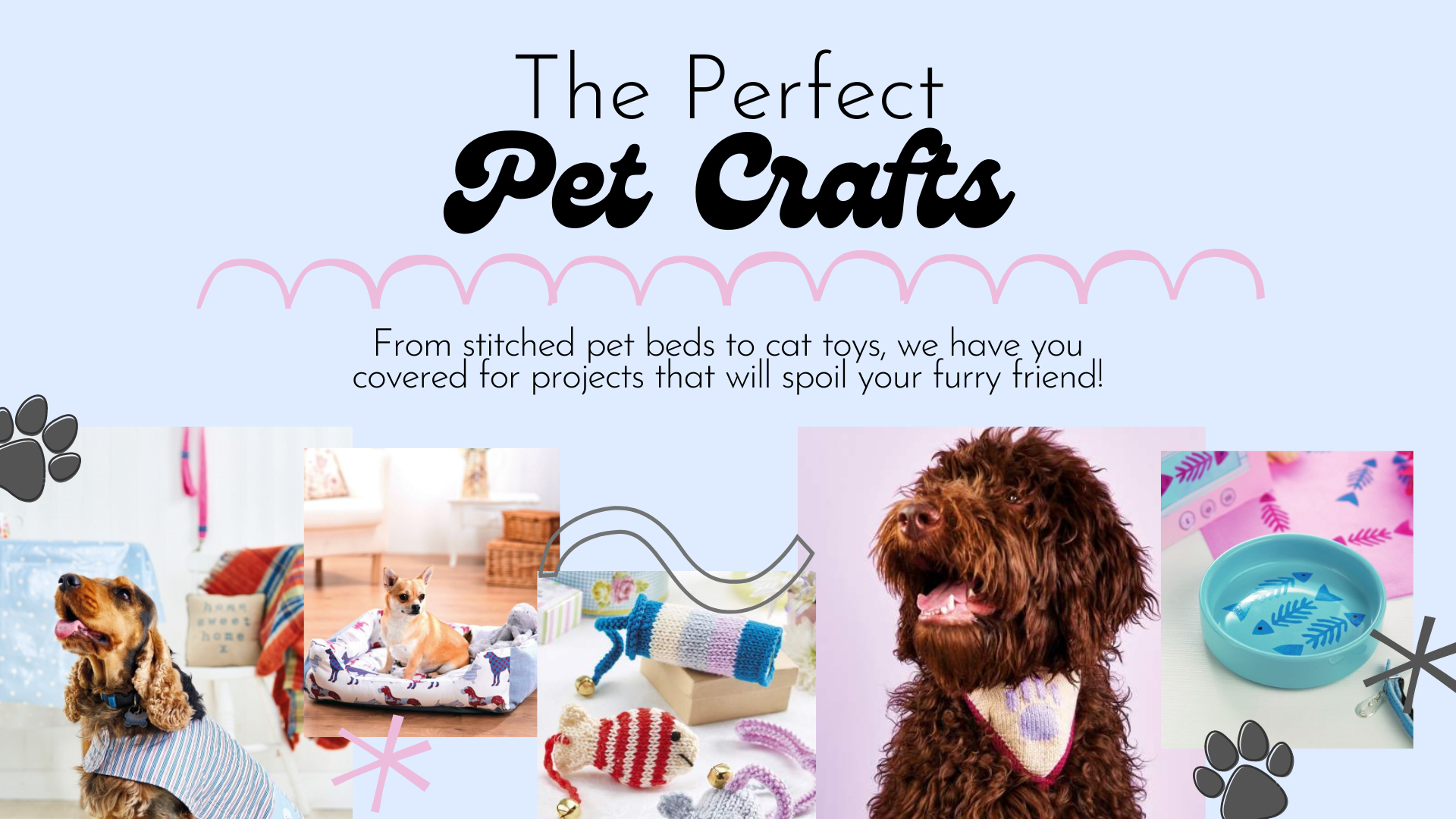 Spoil Your Furry Friends at El Sobrante Feed and Pet Supply