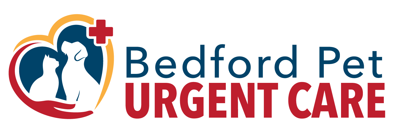 Is Your Pet Sick? Get Help Now at Bedford Pet Urgent Care
