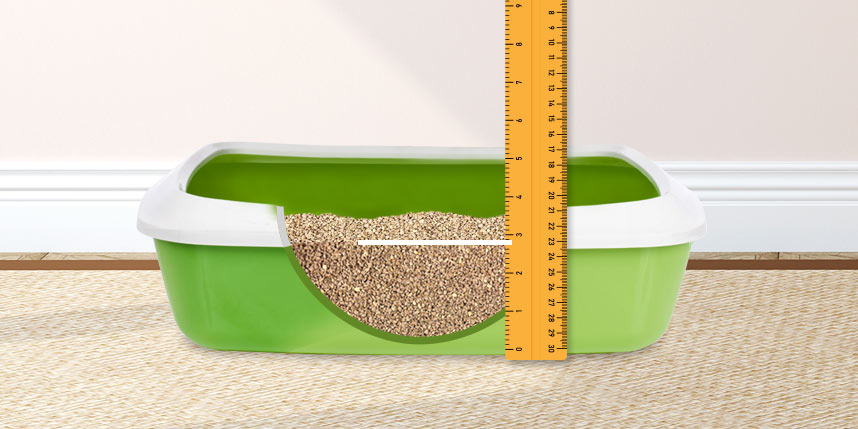 Wondering How Much Cat Litter Should Be in a Litter Box? Find Out Here