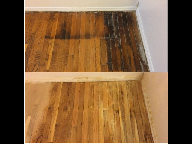 Best Ways for Cleaning Pet Stains on Wood Floors Effectively