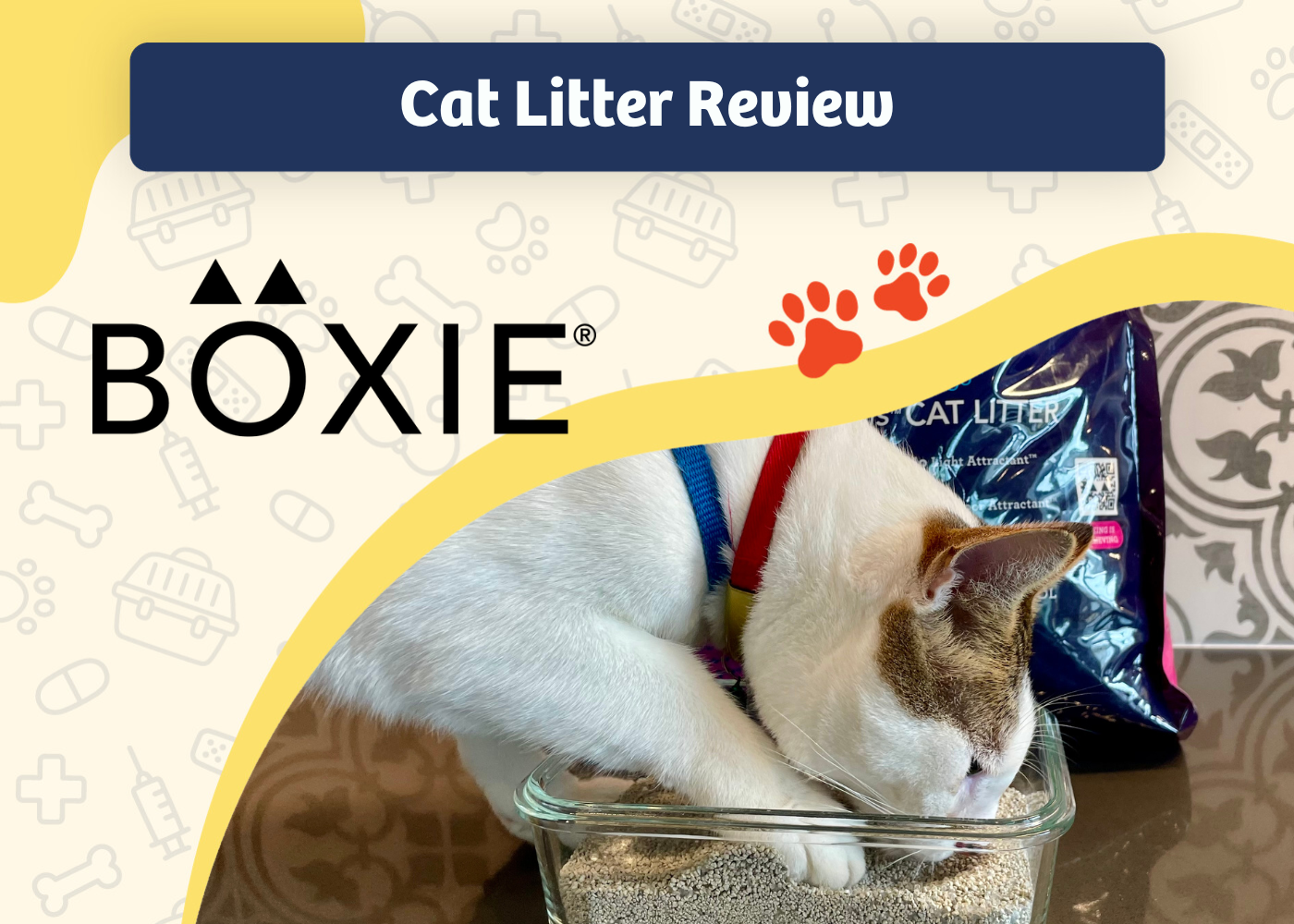 Boxie Cat Litter Review: Is It the Best Clay Litter Choice?